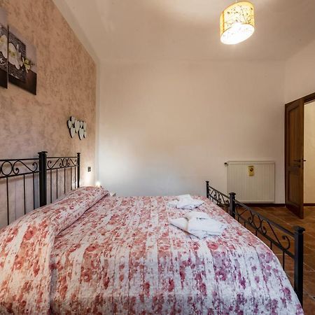 פיזה Conce Apartment מראה חיצוני תמונה