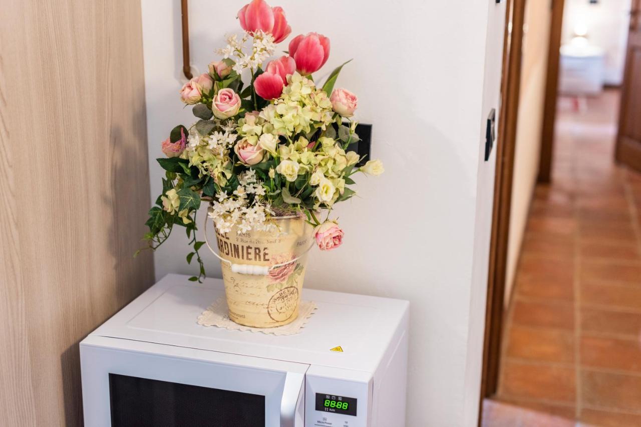 פיזה Conce Apartment מראה חיצוני תמונה